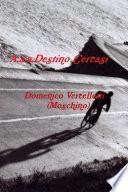 A.a.a.Destino Cercasi