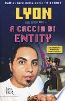 A caccia di Entity