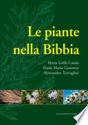 A colloquio con Franco Purini