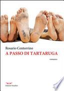 A passo di tartaruga