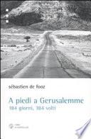 A piedi a Gerusalemme. 184 giorni, 184 volti