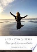 A un metro da terra. Storia e guida di un anno all'estero