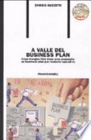 A valle del business plan. Cosa bisogna fare dopo aver preparato un business plan per renderlo operativo. Con CD-ROM