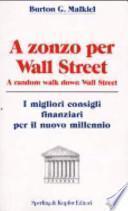 A zonzo per Wall Street. A random walk down Wall Street