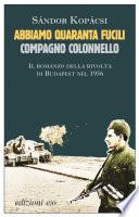 Abbiamo quaranta fucili, compagno colonnello