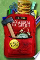 Accademia per canaglie