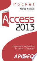 Access 2013