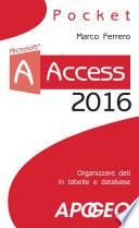 Access 2016