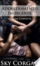 Addestramento Indecente - La Serie Completa