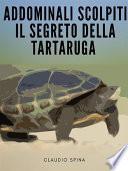 Addominali Scolpiti : Il Segreto della Tartaruga