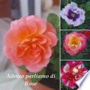 Adesso parliamo di rose