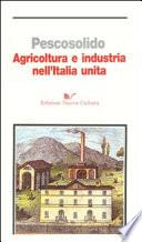 Agricoltura e industria nell'Italia unita