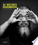 Ai Weiwei. Il giardino incantato