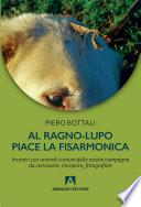 Al ragno-lupo piace la fisarmonica
