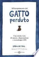 All'inseguimento del gatto perduto