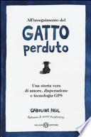 All'inseguimento del gatto perduto