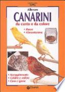 Allevare canarini da canto e da colore