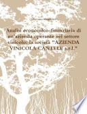 Analisi economico-finanziaria di un'azienda operante nel settore vinicolo: la società AZIENDA VINICOLA CANTELE s.r.l.