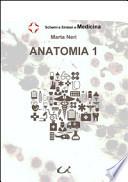 Anatomia 1