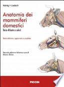 Anatomia dei mammiferi domestici
