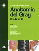 Anatomia del Gray. I fondamenti