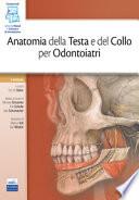 Anatomia della testa e del collo per odontoiatri