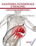 Anatomia funzionale e imaging. Sistema locomotore