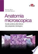 Anatomia microscopica