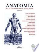 Anatomia per le lauree triennali e magistrali