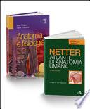 Anatomia per scienze motorie e fisioterapia. Atlante anatomia umana. Selezione tavole per scienze motorie-Anatomia e fisiologia