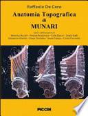 Anatomia topografica dei Munari