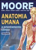 Anatomia umana e orientamento clinico