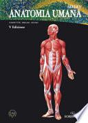 Anatomia umana