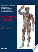 Anatomia umana