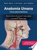 Anatomia umana. Una panoramica