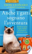 Anche i gatti sognano l'avventura