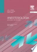 Anestesiologia: Processo decisionale