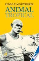 Animal tropical