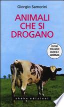 Animali che si drogano