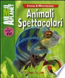 Animali spettacolari