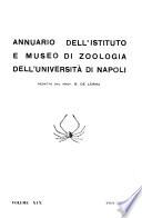 Annuario
