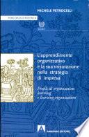 Apprendimento organizzativo