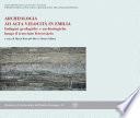 Archeologia ad alta velocità in Emilia. Indagini geologiche e archeologiche lungo il tracciato ferroviario. Atti del Convegno (Parma, 9 giugno 2003)