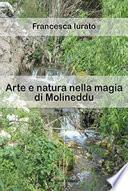 Arte e natura nella magia di Molineddu. Ediz. illustrata