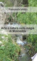 Arte e natura nella magia di Molineddu