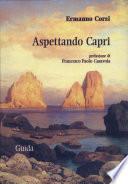Aspettando Capri