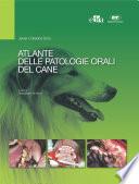 Atlante delle patologie orali del cane