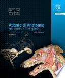 Atlante di anatomia del cane e del gatto