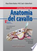 Atlante di Anatomia del cavallo 5ª edizione