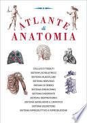 Atlante di anatomia